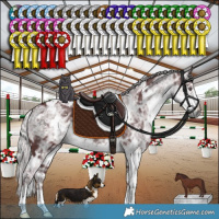 Horse Color:White Spotted Chocolate Silver Smoky Black Chinchilla Ice 