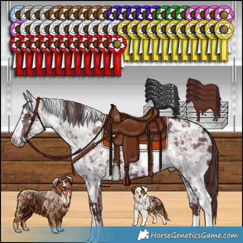 Horse Color:White Spotted Chocolate Silver Smoky Black Chinchilla Ice and White Spotted Chocolate Black Chinchilla Ice