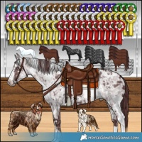 Horse Color:White Spotted Chocolate Silver Smoky Black Chinchilla Ice and White Spotted Chocolate Black Chinchilla Ice