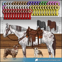 Horse Color:White Spotted Chocolate Silver Smoky Black Chinchilla Ice  and White Spotted Chocolate Black Chinchilla Ice 