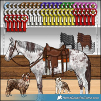 Horse Color:White Spotted Chocolate Silver Smoky Black Chinchilla Ice  and White Spotted Chocolate Black Chinchilla Ice 