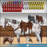 Horse Color:White Spotted Chocolate Silver Smoky Black Chinchilla Ice and White Spotted Chocolate Black Chinchilla Ice