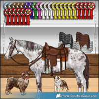 Horse Color:White Spotted Chocolate Silver Smoky Black Chinchilla Ice and White Spotted Chocolate Black Chinchilla Ice