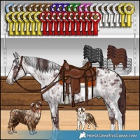 Horse Color:White Spotted Chocolate Silver Smoky Black Chinchilla Ice  and White Spotted Chocolate Black Chinchilla Ice 