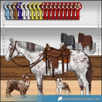 Horse Color:White Spotted Chocolate Silver Smoky Black Chinchilla Ice  and White Spotted Chocolate Black Chinchilla Ice 