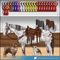 Horse Color:White Spotted Chocolate Silver Smoky Black Chinchilla Ice  and White Spotted Chocolate Black Chinchilla Ice 
