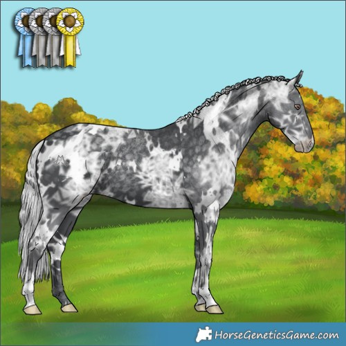 Horse Color:White Spotted Silver Black Chinchilla Ice 