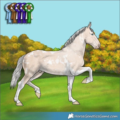 Horse Color:White Spotted Silver Perlino Tobiano Rabicano 