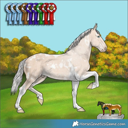 Horse Color:White Spotted Silver Perlino Tobiano Rabicano 