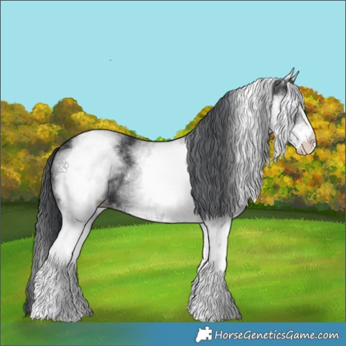 Horse Color:White Spotted Black