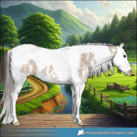 Horse Color:Classic Champagne Dun Sabino Splash Tobiano 