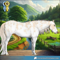 Horse Color:Gold Cream Champagne Dun Sabino 