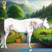 Horse Color:Liver Red Dun Sabino Splash Tobiano 
