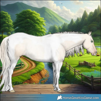 Horse Color:Gold Cream Champagne Dun Tobiano 
