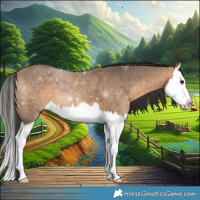 Horse Color:Bay Dun Splash 