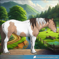 Horse Color:Amber Champagne Tobiano 