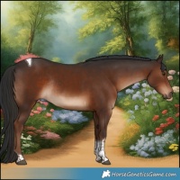 Horse Color:Liver Chestnut Tobiano Rabicano 
