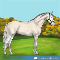 Horse Color:Cremello Splash  and Cremello Splash 