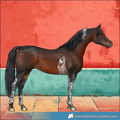 Horse Color:Brown Tobiano 