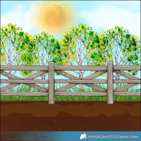 Horse Color:Powder White Black Rabicano  and Powder White Classic Champagne Dun 