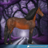 Horse Color:Brown 
