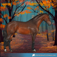 Horse Color:Brown 