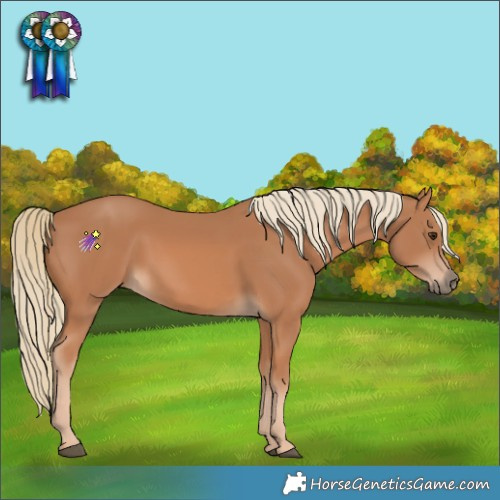Horse Color:Chestnut Mushroom 