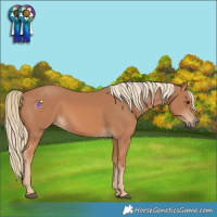 Horse Color:Chestnut Mushroom 