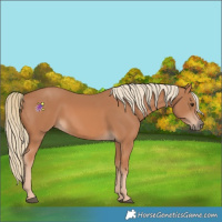 Horse Color:Chestnut Mushroom 