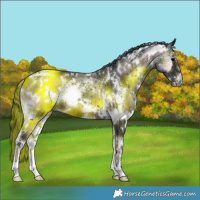 Horse Color:White Spotted Blue Onyx 