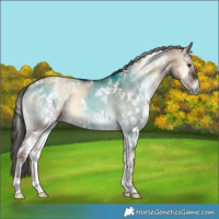 Horse Color:White Spotted Liver Red Dun Onyx Brindle 