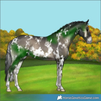 Horse Color:White Spotted Blue Onyx Brindle 