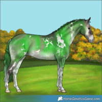 Horse Color:White Spotted Grullo Onyx Brindle 