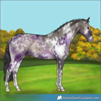 Horse Color:White Spotted Grullo Onyx Brindle 