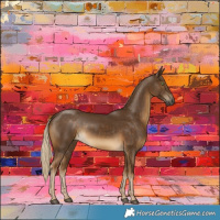 Horse Color:Chocolate Palomino Rabicano