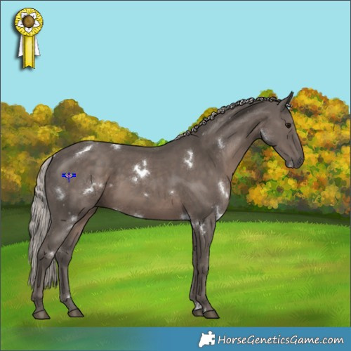 Horse Color:White Spotted Silver Black Rabicano 