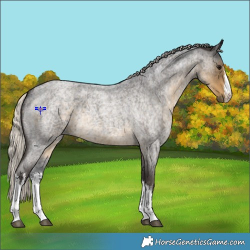 Horse Color:White Spotted Silver Smoky Blue Roan 