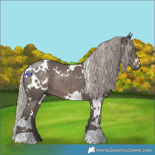 Horse Color:White Spotted Silver Black 