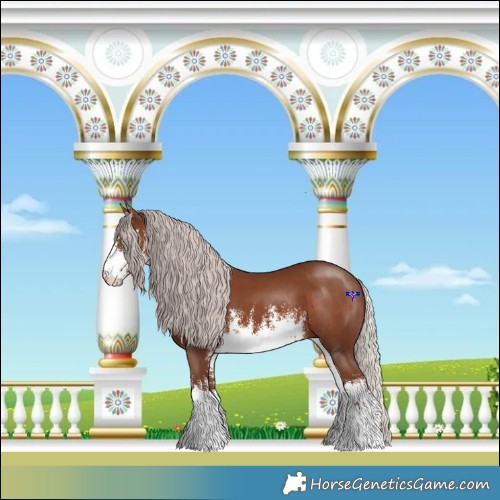 Horse Color:White Spotted Silver Black 