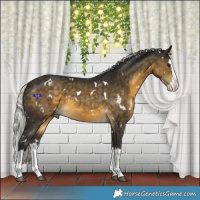 Horse Color:White Spotted Silver Buckskin Splash