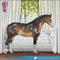 Horse Color:White Spotted Silver Buckskin Splash 