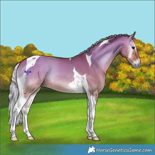 Horse Color:Silver Bay Onyx Tobiano 