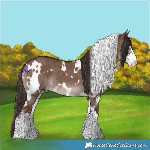 Horse Color:White Spotted Liver Red Dun Sabino Brindle 