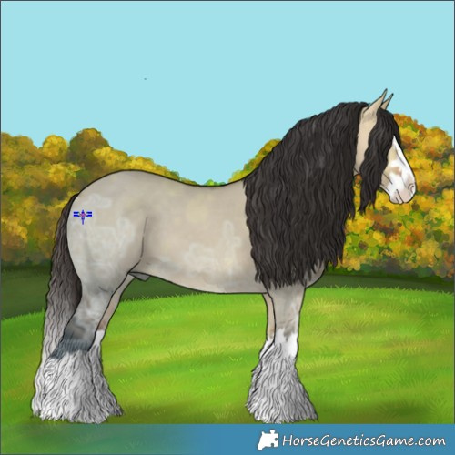Horse Color:Bay Ice Dun Splash 