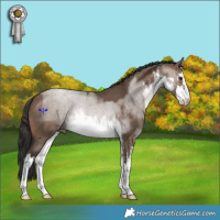 Horse Color:White Spotted Brown Dun 