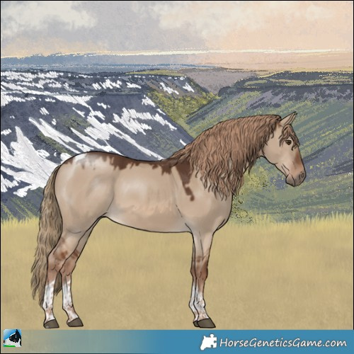 Horse Color:White Spotted Red Dun Tobiano