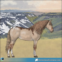 Horse Color:White Spotted Red Dun Tobiano 