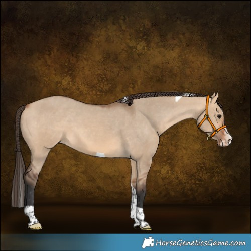 Horse Color:Bay Dun Splash Tobiano Varnish 