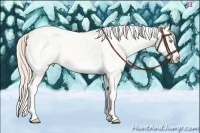 Horse Color:Smoky Creme Dun Splash Tobiano Frame