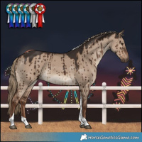 Horse Color:Liver Red Dun Tobiano Brindle